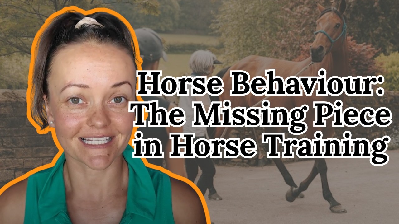 How to Understand Horse Behaviour