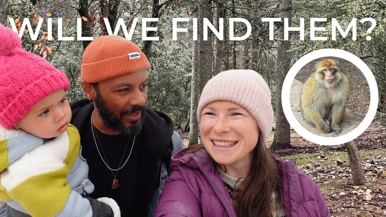 We Camped In Morocco’s Monkey Forest | Exploring Ifrane National Park