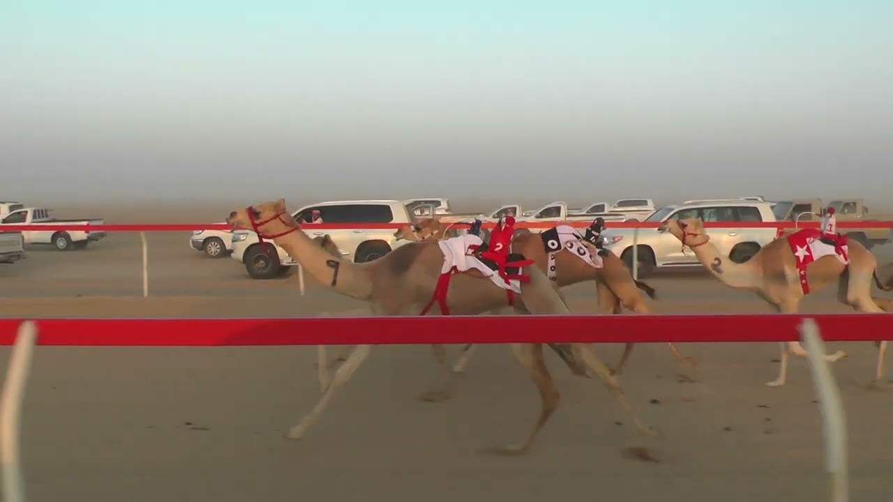 الطيارة/حمدون ناصر علي الدرعي 1.49.80 ( ميدان سيح العراد )