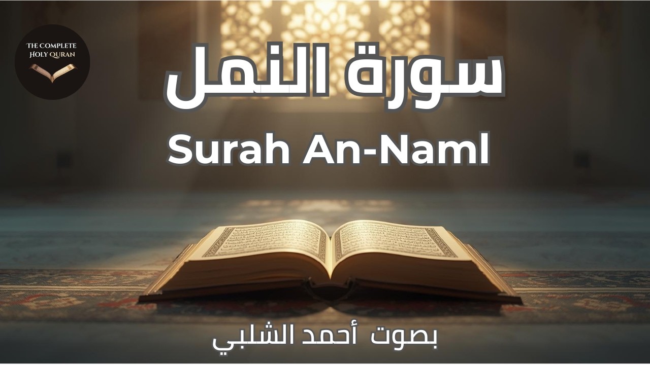 Surah An-Naml ✨ The Absolute Wisdom | سورة النمل (27/114)