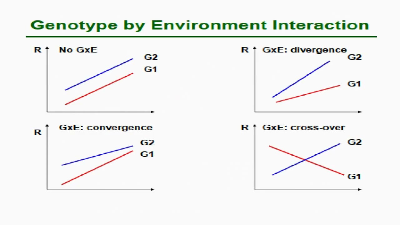 Interactions between Genotypes and Environments