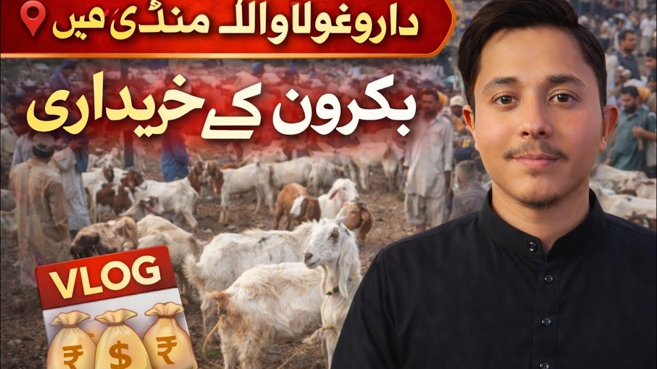 Aaj Hum Daroghawala Bakra Mandi Visit Par Gaye | Full Mandi Vlog 🐐