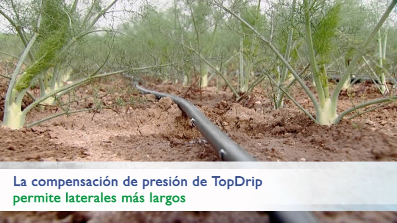 Línea de riego por goteo de presión autocompensada  y antisifón, TotDrip por NaanDanJain