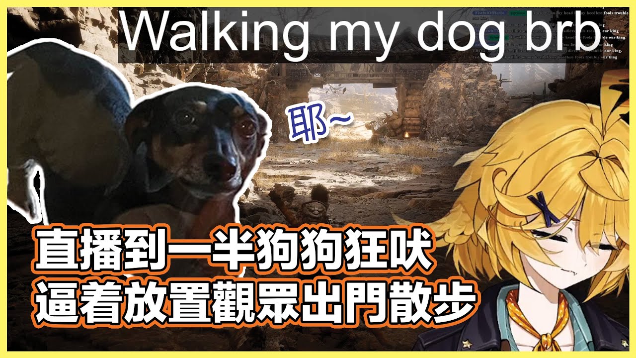 黑神話悟空玩到一半狗狗狂吠！原來到了散步時間🐕‍🦺 Doki被吵到丟下直播，3千觀眾被放置等她帶D.A.D.散步回來⋯【Dokibird 中文】