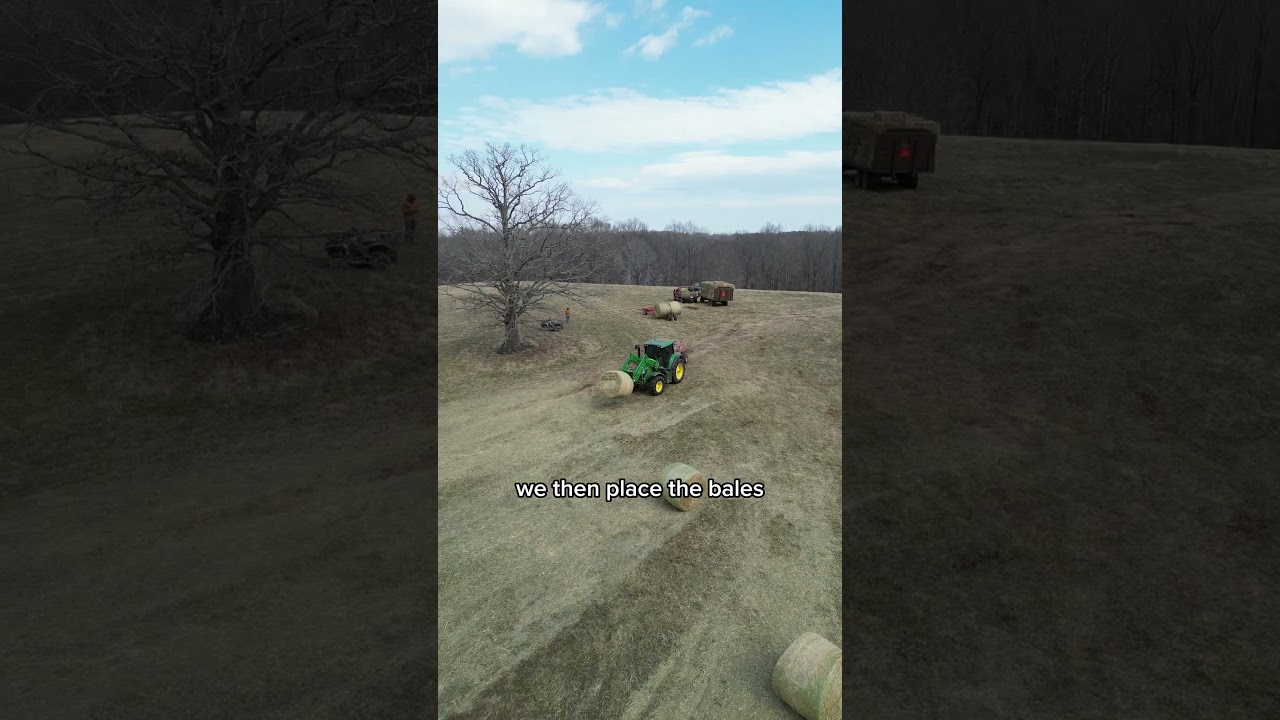 Перепрессовка сена #сельскоехозяйство #жизньнаферме #fs25