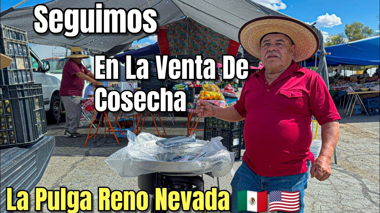 Parte 2 Más Venta De Melones, Tomatillo Y Salsas En La Pulga De Reno!🍉🌶️