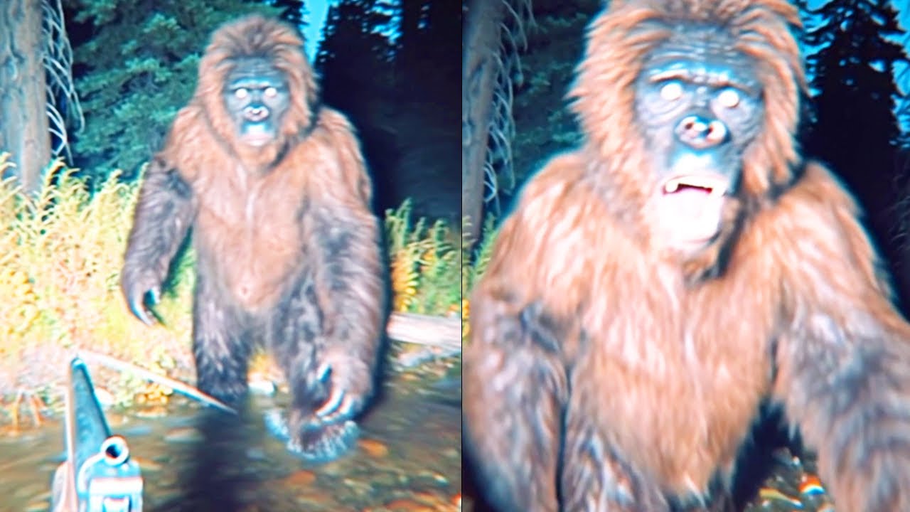 Ranger Encounters 17-Foot Sasquatch In Florida - DISTURBING BIGFOOT STORY