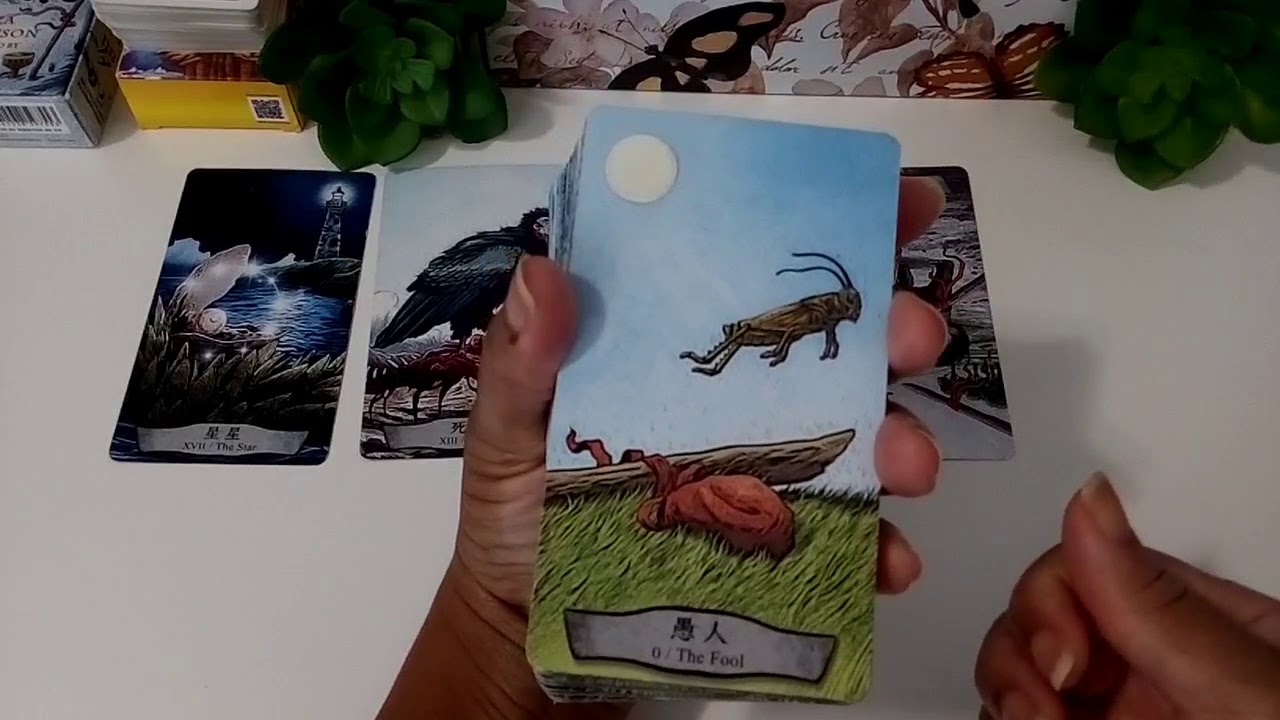 Twin Flames - Your Light Is Guiding Your Masculine Home!