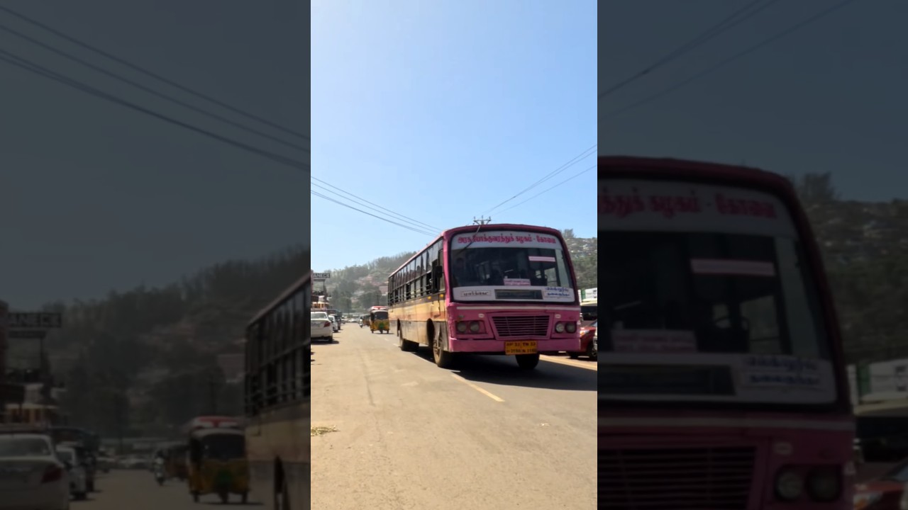 Ooty Town, Tamilnadu, India 💥 Scenic Drive Through Ooty 💥 Tamilnadu, India #ooty #india #travel