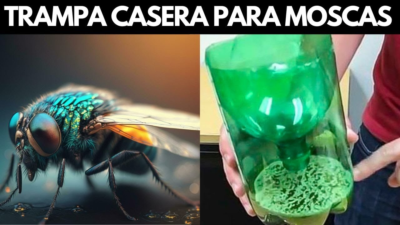 DILE ADIOS A LAS MOSCAS CON ESTA TRAMPA CASERA HECHA CON MATERIALES RECICLADOS 🪰🪰🪰