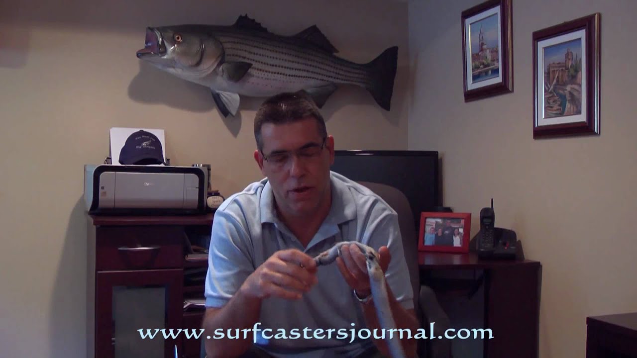 Surf Fishing : Rigging the eel with zip ties in  minutes