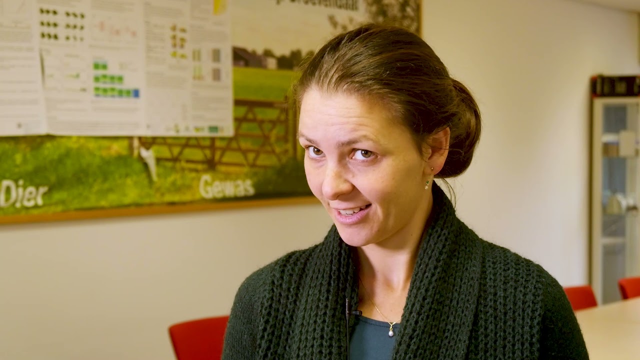 Samen imkeren met Delphine: bijenhouden zonder varroabestrijdingsmiddelen