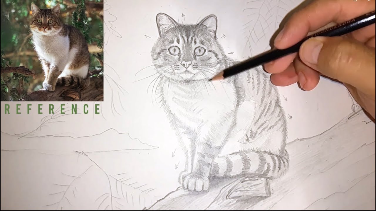 How To Draw a Cat with #2 HB Pencil