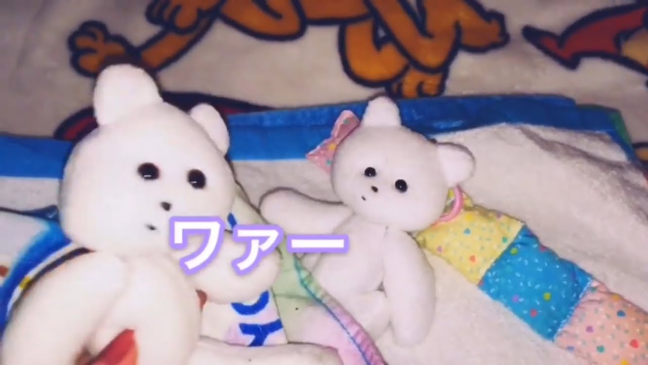 くまきちの生活まとめ2