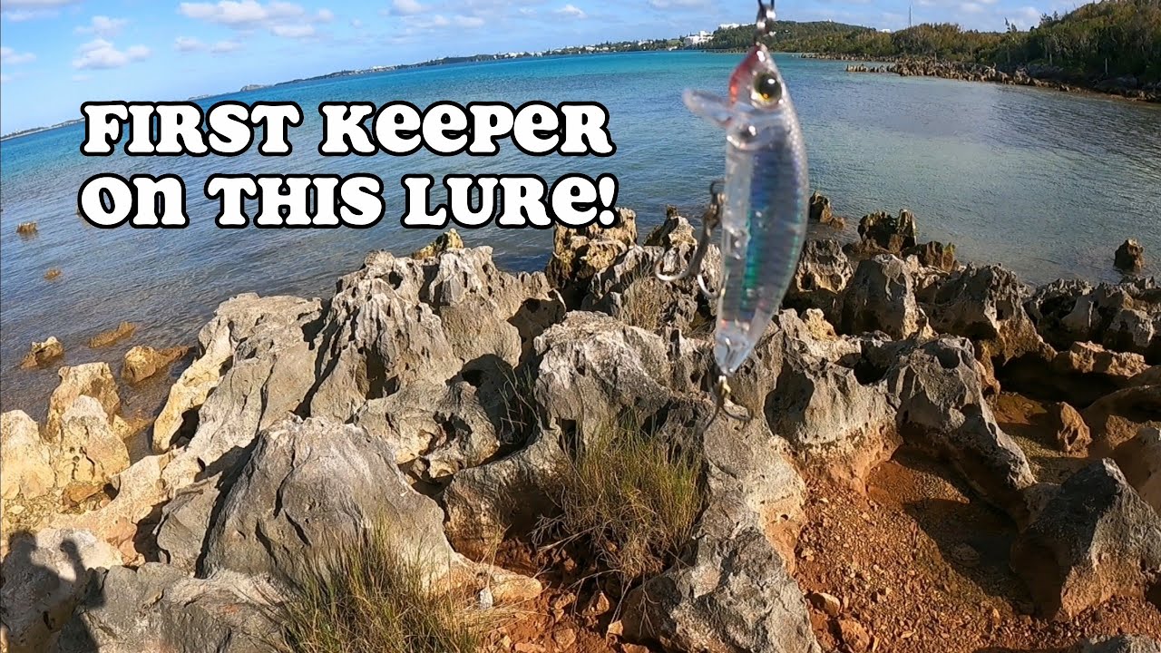 casting the yozuri surface minnow | LURE FISHING BERMUDA