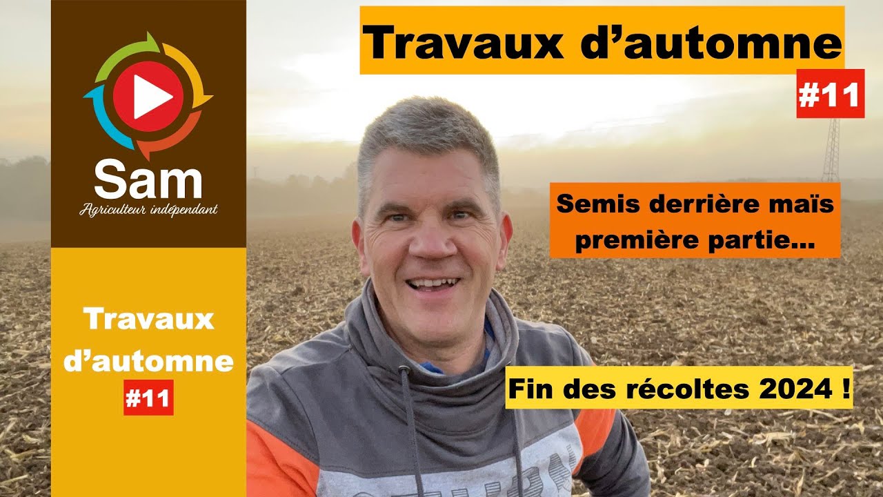 Travaux d'automne #11 Semis derrière maïs. Première partie. Fin des récoltes 2024.Densités de semis.