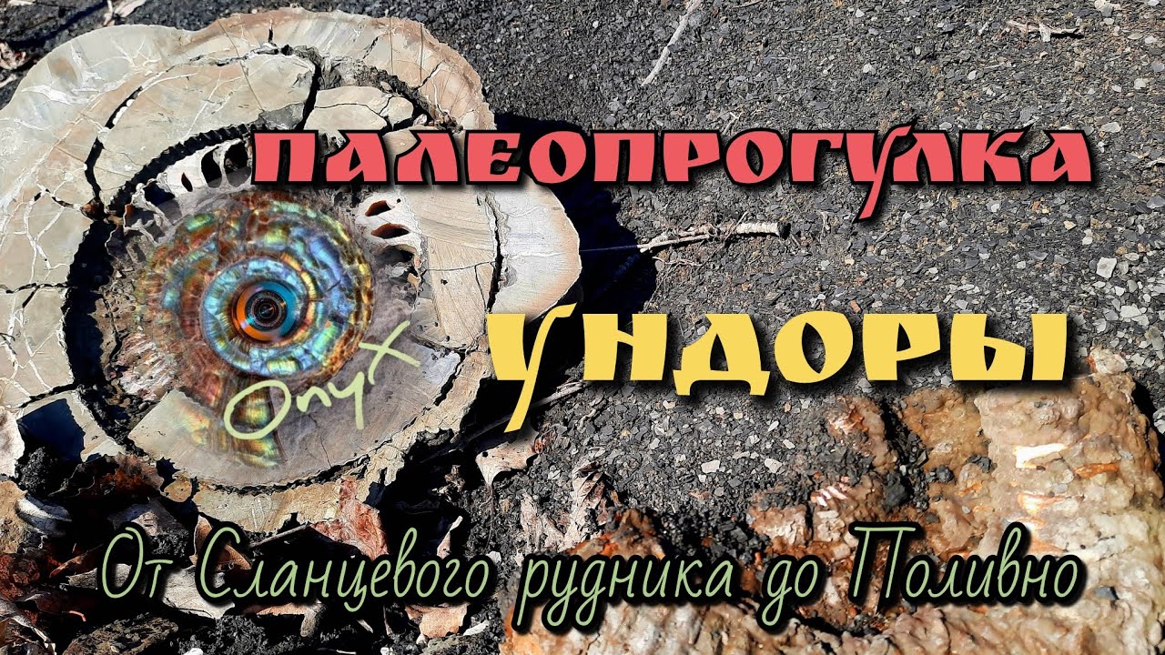 Ундоры. Палеопрогулка от Сланцевого рудника до Поливно. Аммониты юрских и меловых морей.