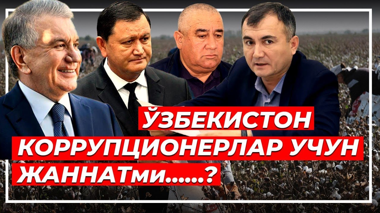 Негатив 577: Ўзбекистон келажаги остига бомба қўйганлар нега жазоланишмайди?