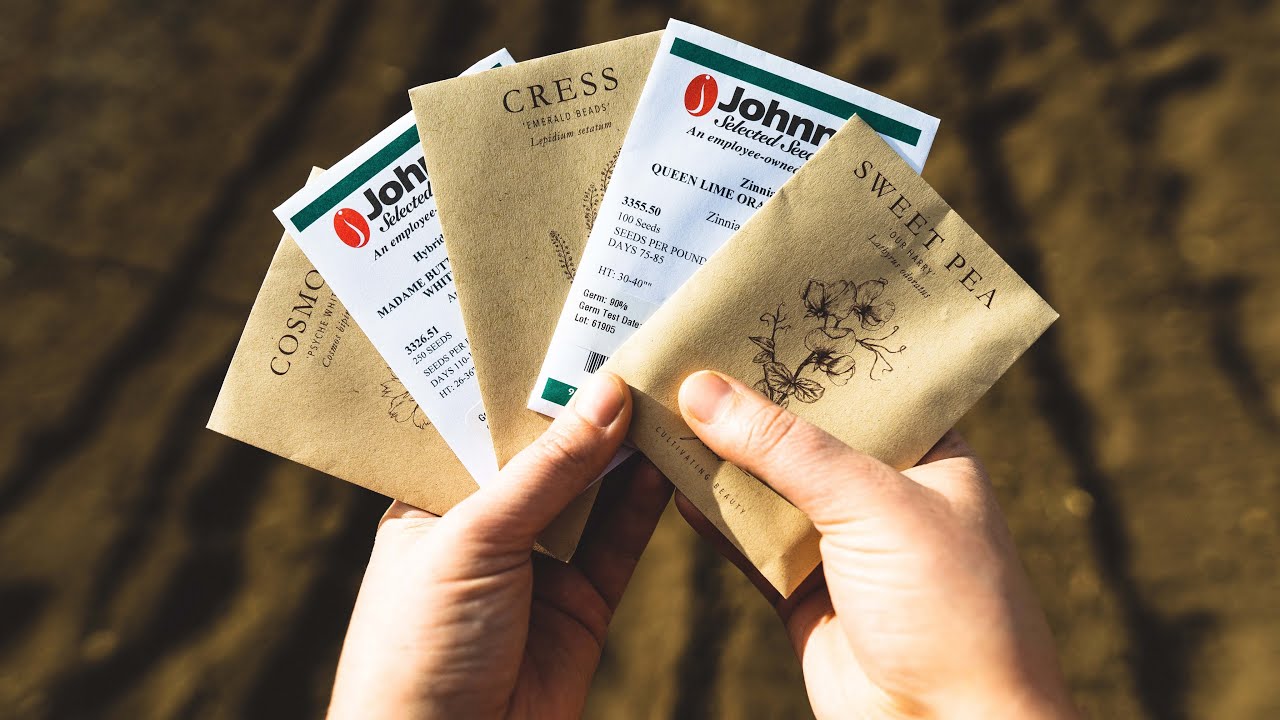 Demystifying when to seed start