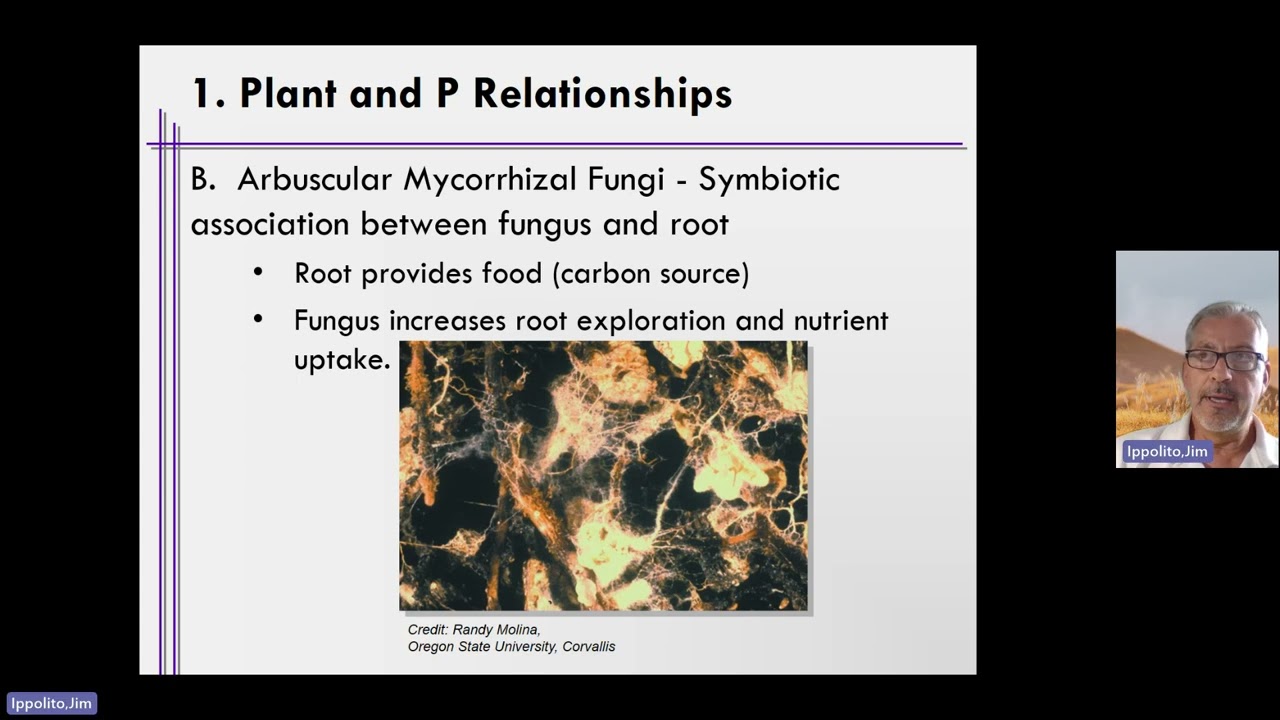 Week 8, Unit 6, Video 3   AM Fungi and P Uptake by Plants