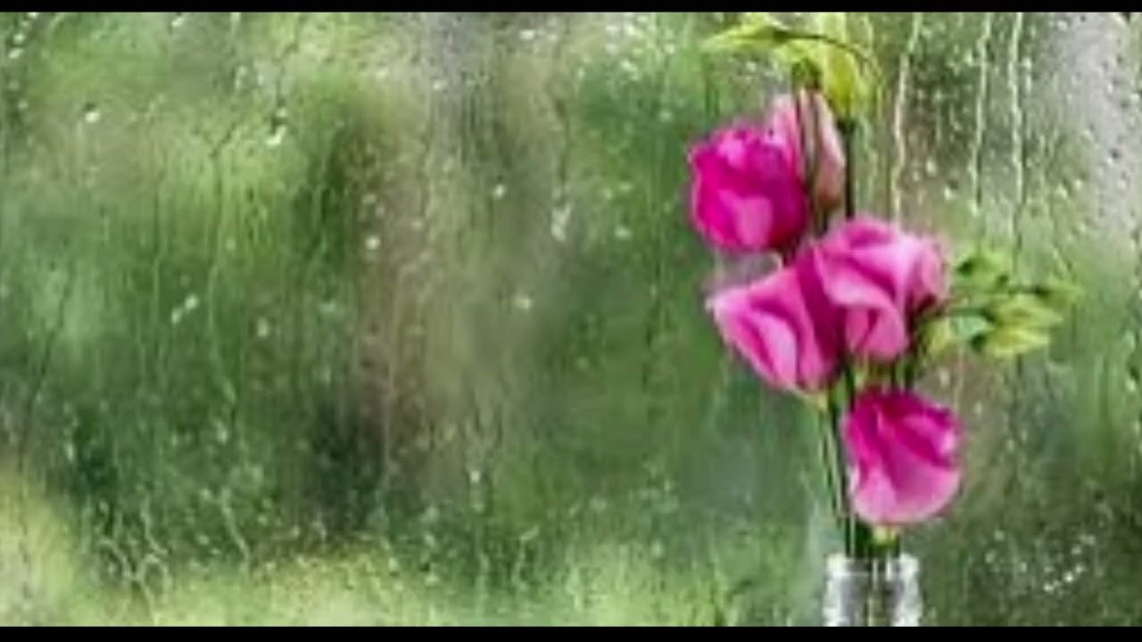LLuvia de verano