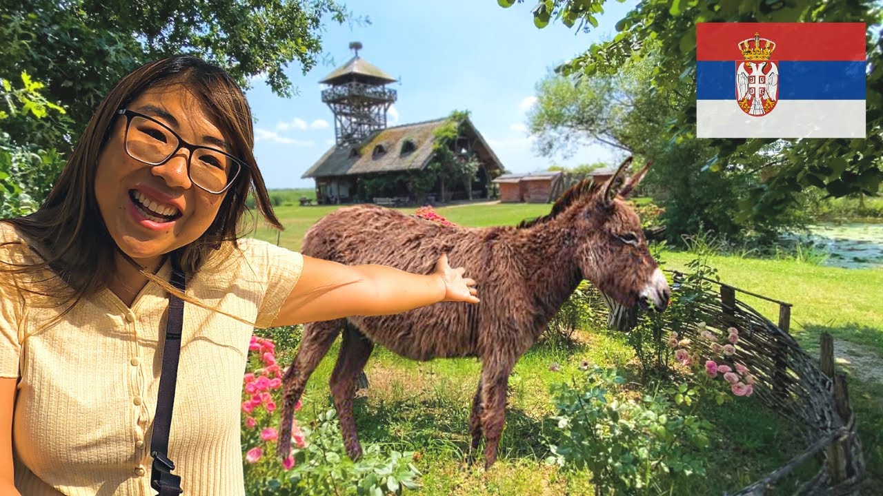 Life on Serbian village farm (the media won’t show you) 🇷🇸