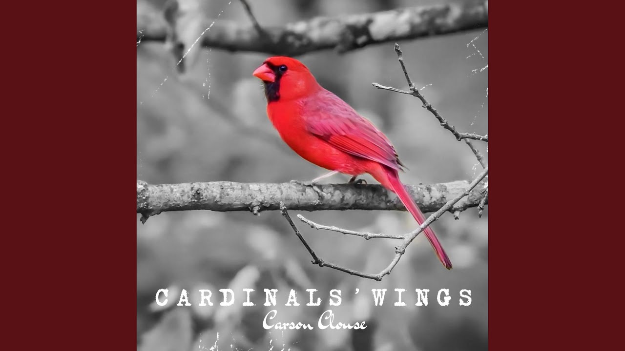 Cardinals' Wings