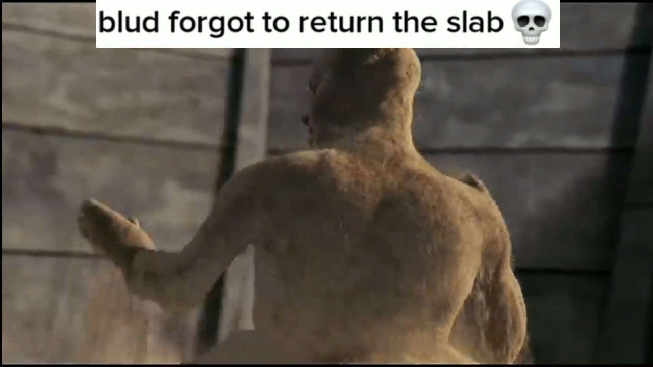 the pharaoh&rsquo;s curse