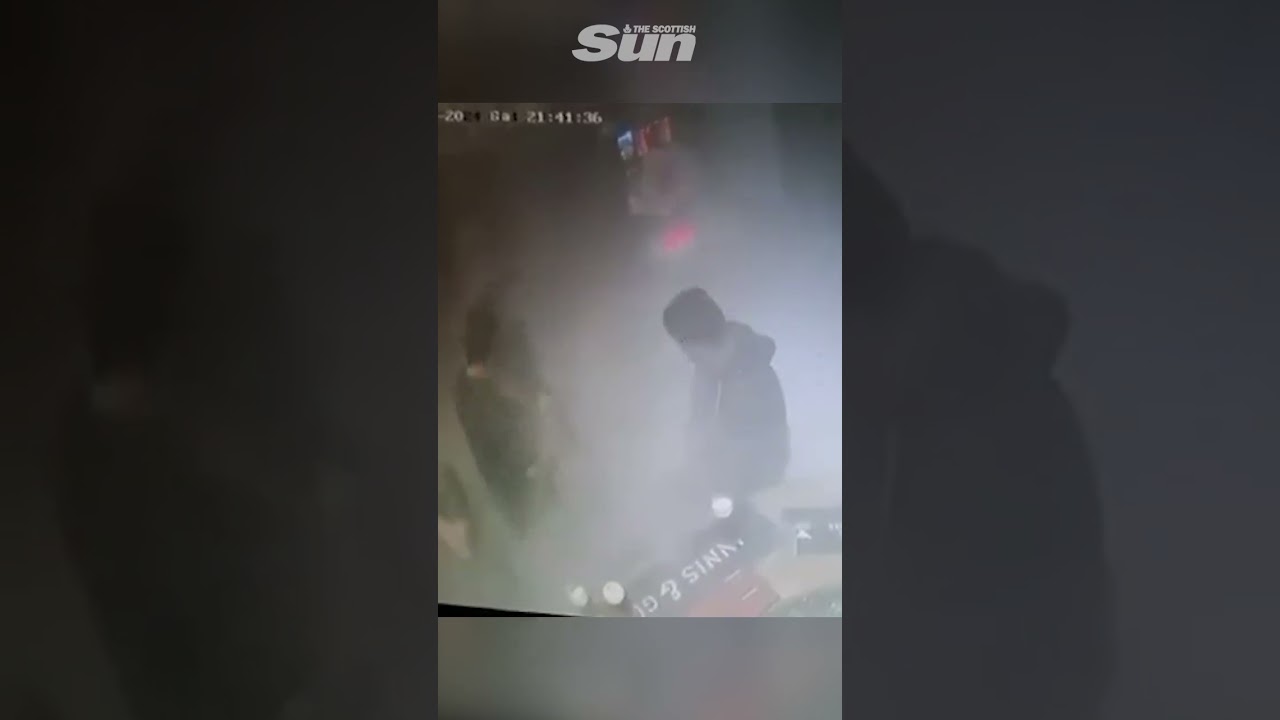 Dog sets off fire extinguisher in packed Scottish pub