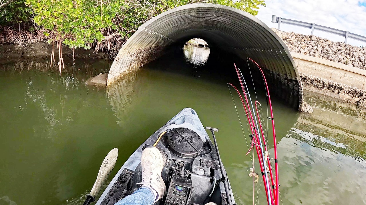 Backyard Canals Loaded With Fish in Deadly Cold + Stunning Underwater Look!