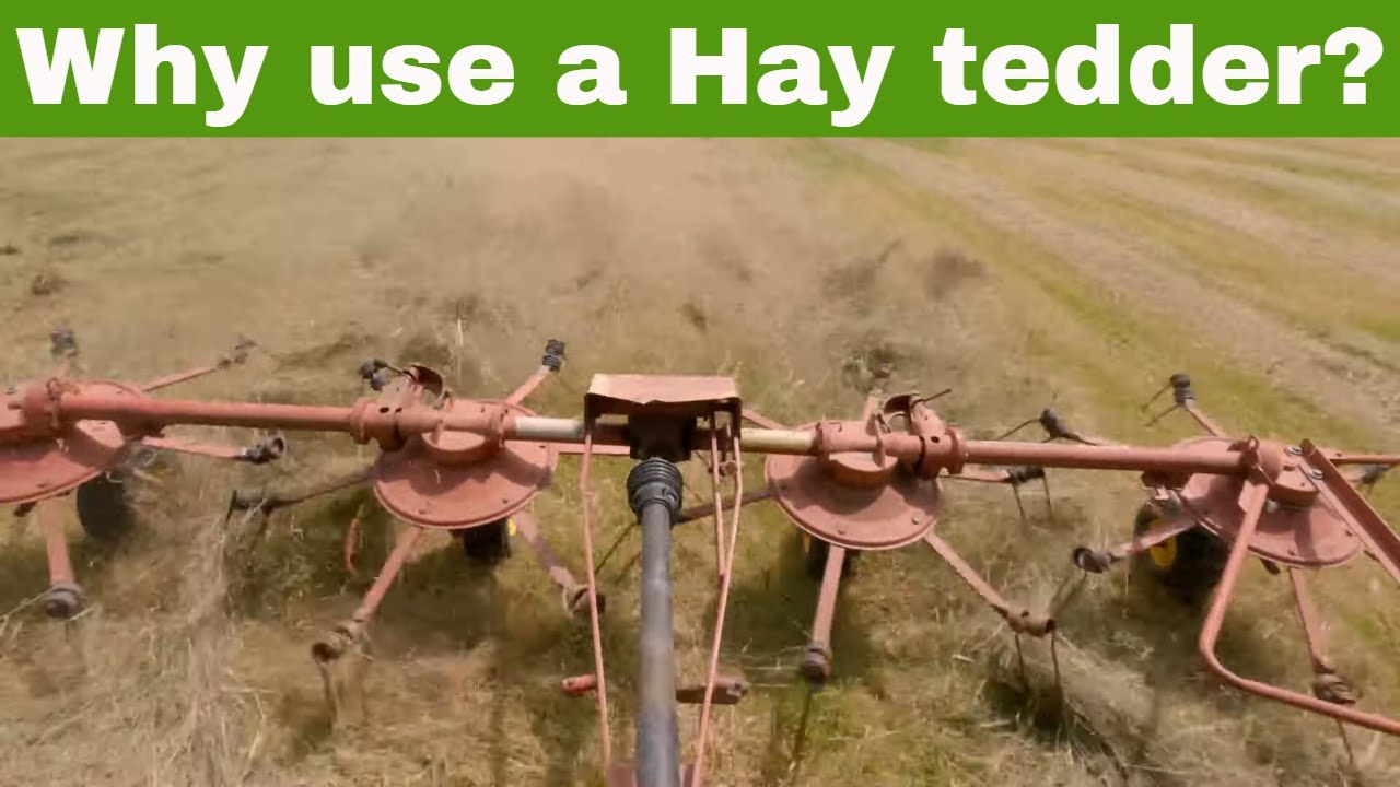 Using a Hay Tedder - Drying Rained-On Hay (Step 2 of 4 in Hay Making)