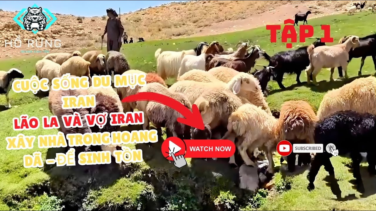 Vợ chồng ông Lão sống giữa núi rừng – Tự tay dựng nhà, trồng rau, nuôi dê để sinh tồn