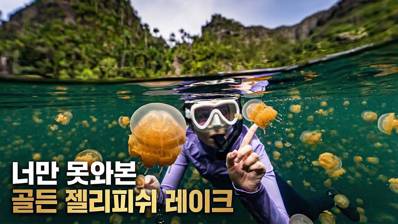 [4K] CG 아닙니다! 다이버들의 꿈 '라자암팟' 리브어보드 완전 정복 🇮🇩 (영상미 미쳤음) | 벨로션 | 인투블 리브어보드 | RajaAmpat