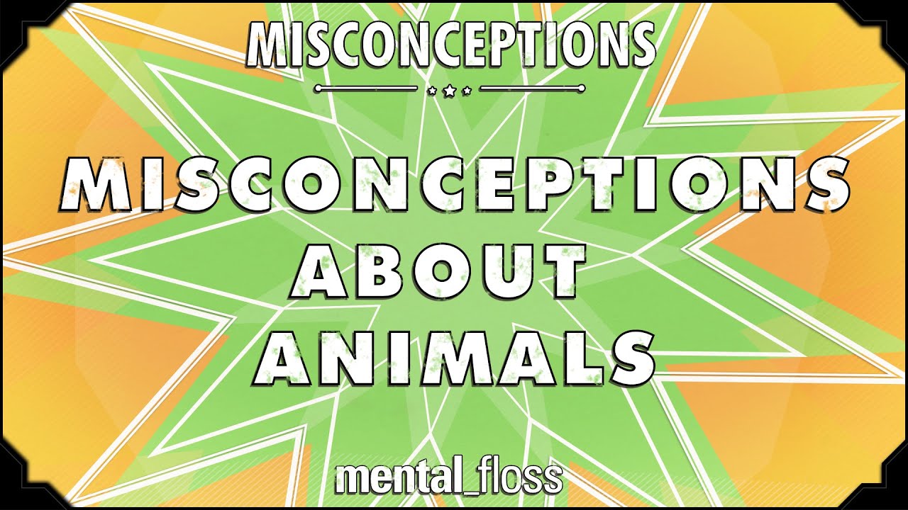 Misconceptions about Animals - mental_floss on YouTube (Ep. 55) | Mental Floss