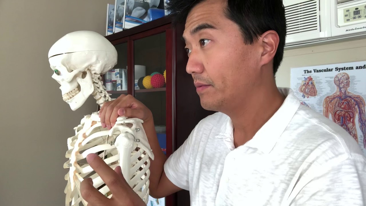 What is a shoulder bursitis simply?