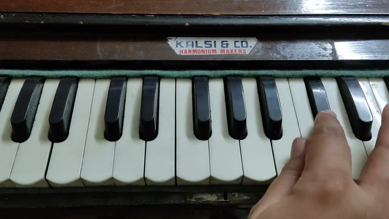 Learn - Baap hmara sad charanjivi.bhai hmare sad hi jivi (Bhai jagpal Singh ji)