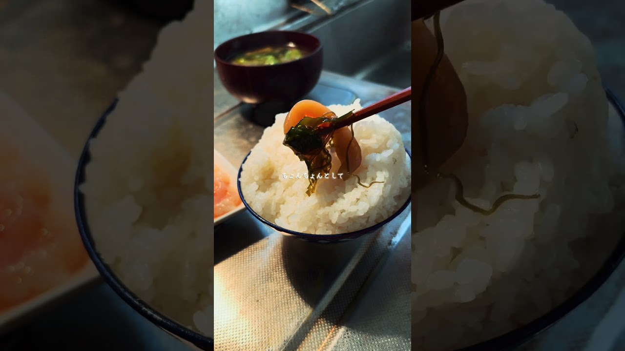 海鮮珍味で白飯を食らう！