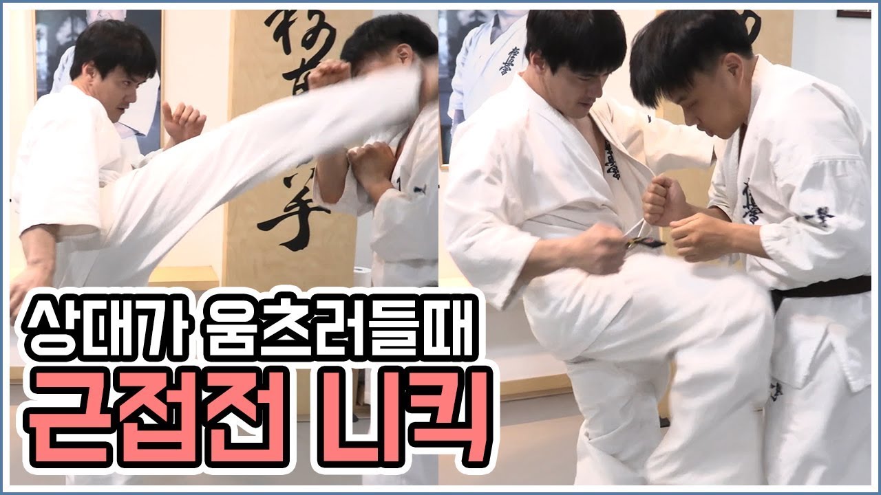 근접전에 니킥을 이용하여 상대의 머리를 노리는 콤비네이션 [극진가라데/Kyokushin karate]
