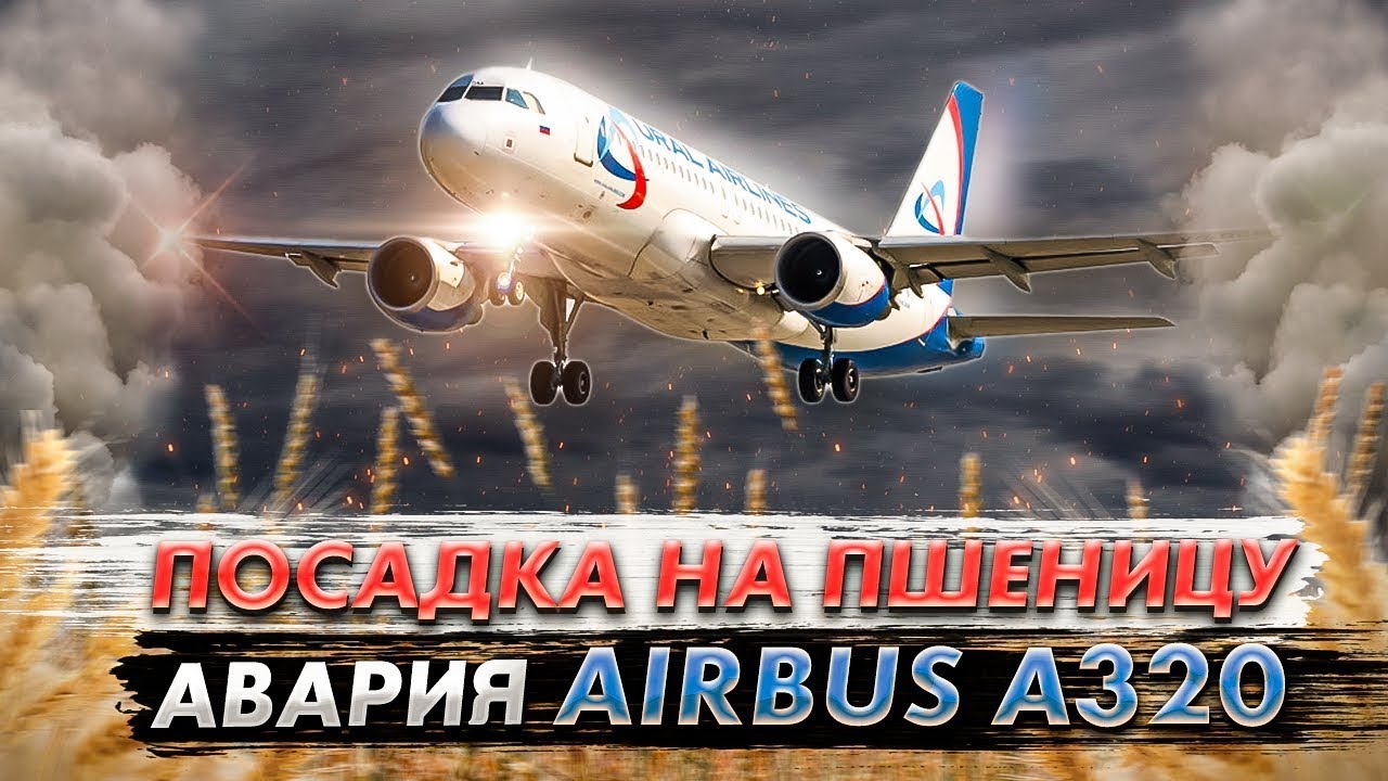 Посадка на пшеничное поле 