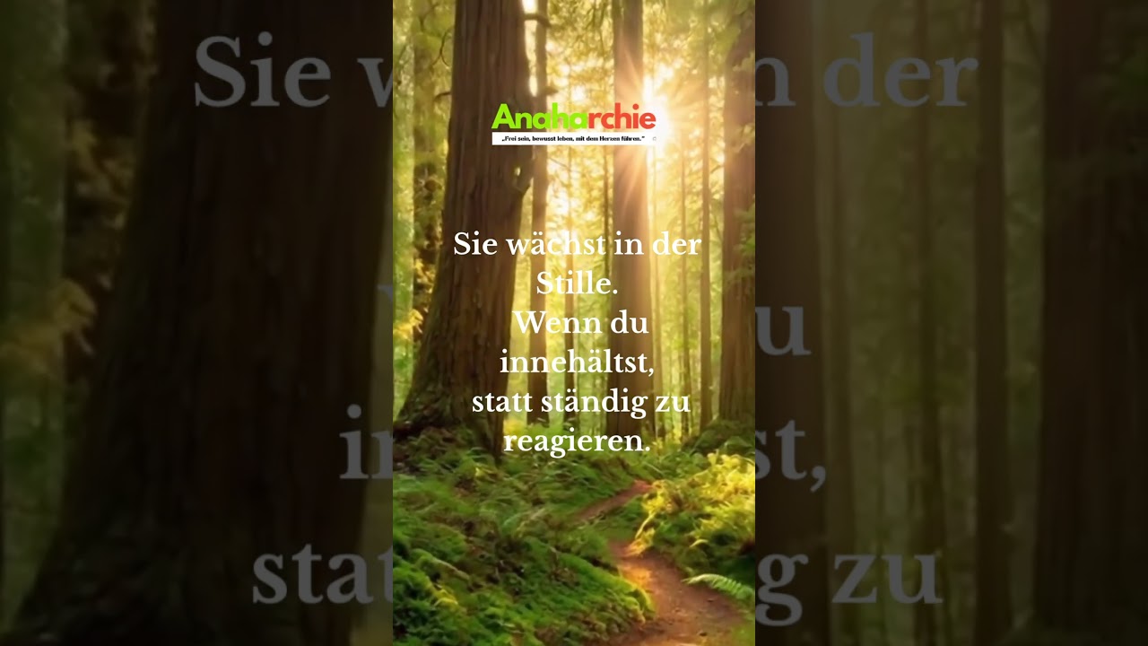 Weisheit beginnt in dir ! #seelenbotschaften #bewusstseinsweg #f&uuml;rdich #weisheit #anaharchie