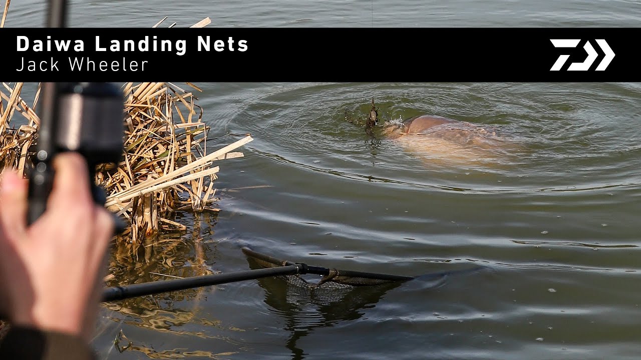 Daiwa Landing Nets - Jack Wheeler | Daiwa Carp