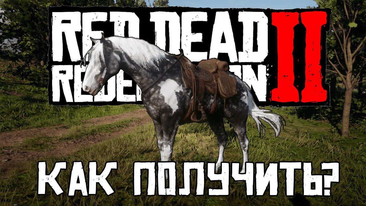 Как Получить Миссурийского Фокстроттера В Начале Второй Главы // RDR2