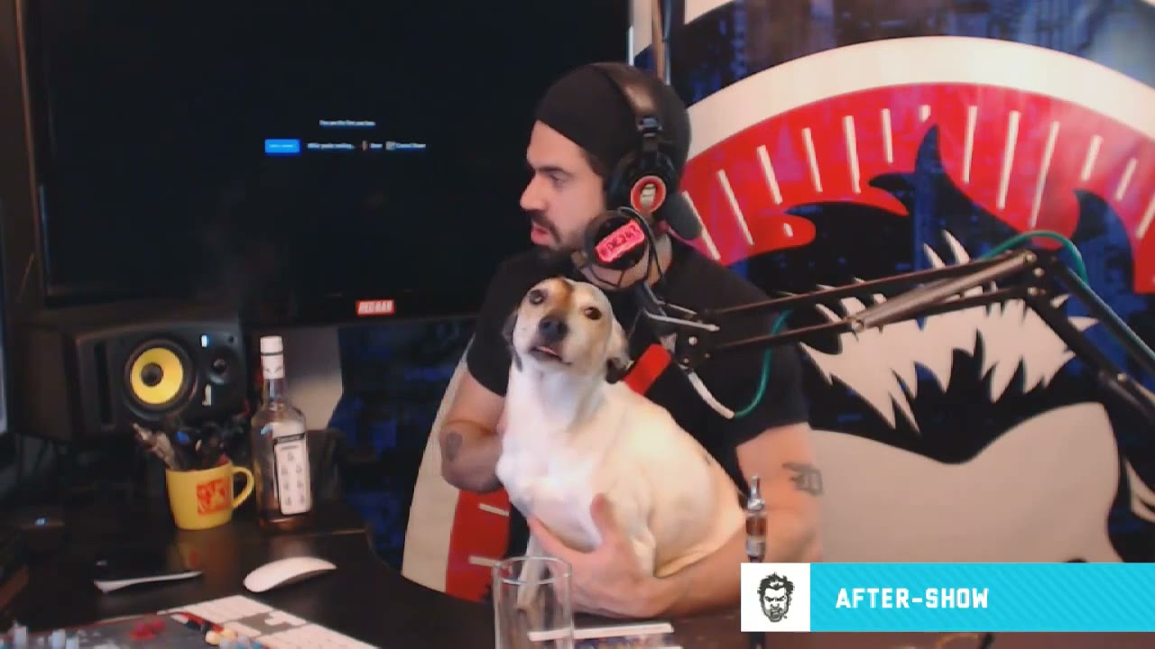 Chula the Seagull | REDBAR x SCARSCLUB