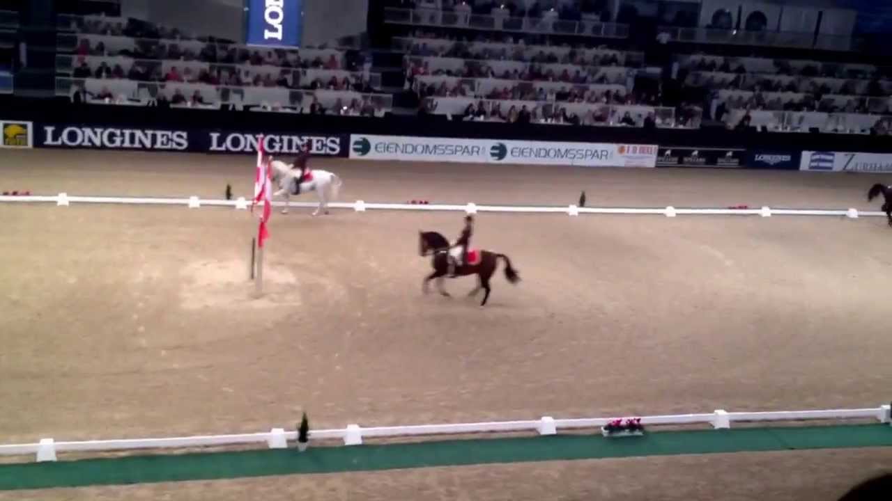 The Oslo horse show 2013