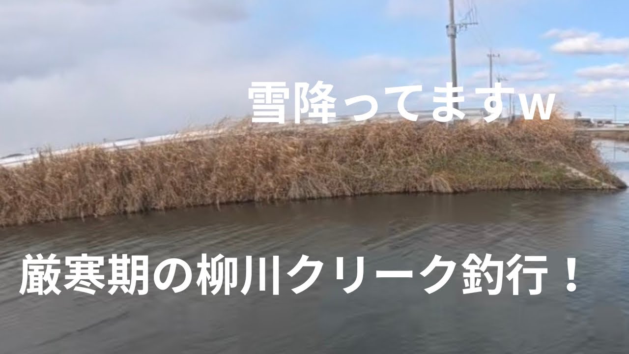 厳寒期柳川クリークは難しい
