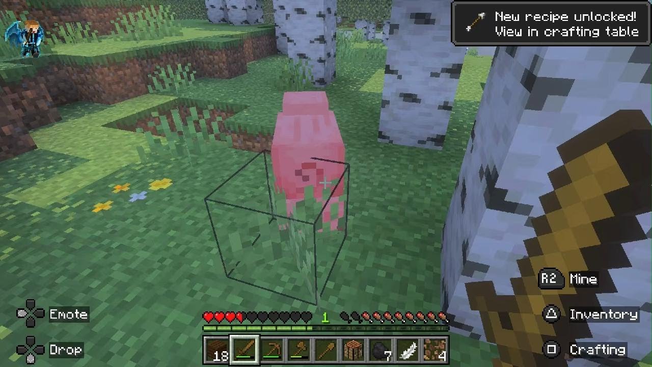 Minecraft