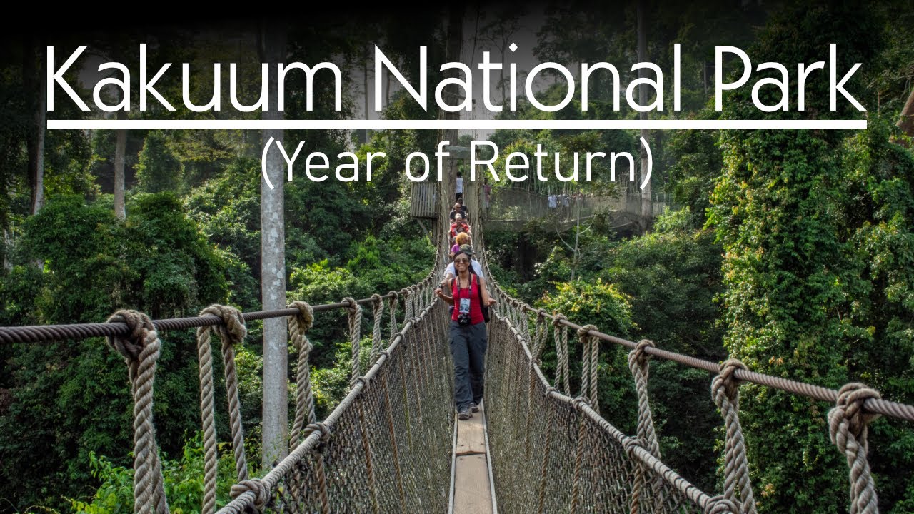 African Americans should visit KAKUM NATIONAL PARK, Cape Coast Ghana.