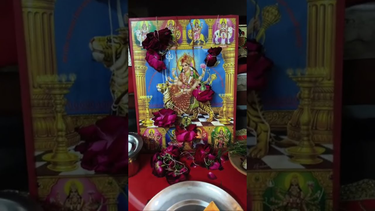 नवदुर्गा माता केदर्शन 🙏🌹