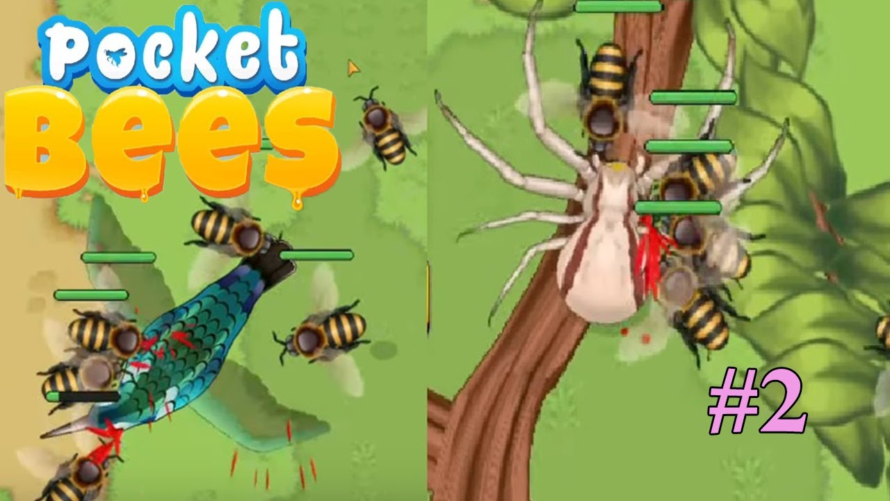 SİNEK KUŞU VE ÖRÜMCEK SAVAŞI - POCKET BEES # 2