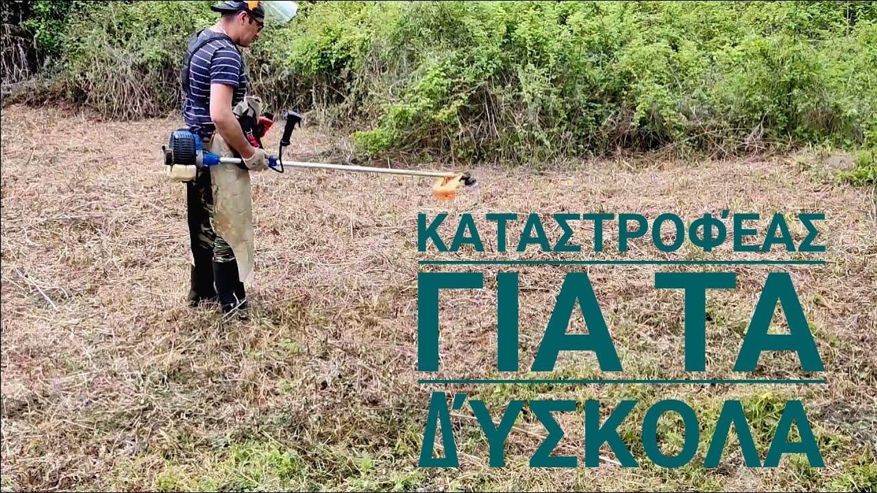 Κινέζικο χορτοκοπτικό με καταστροφέα για τα δύσκολα